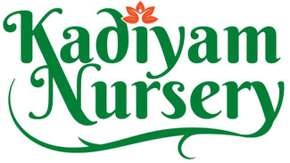 Kadiyam Nursery Logo